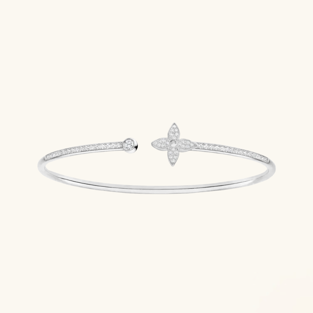 EXCLUSIVE | Silver Star elet