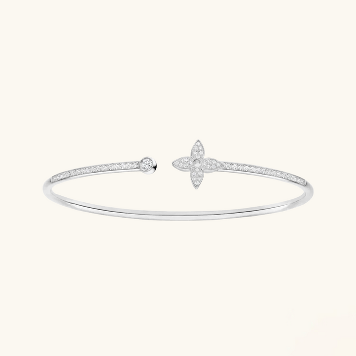 EXCLUSIVE | Silver Star elet