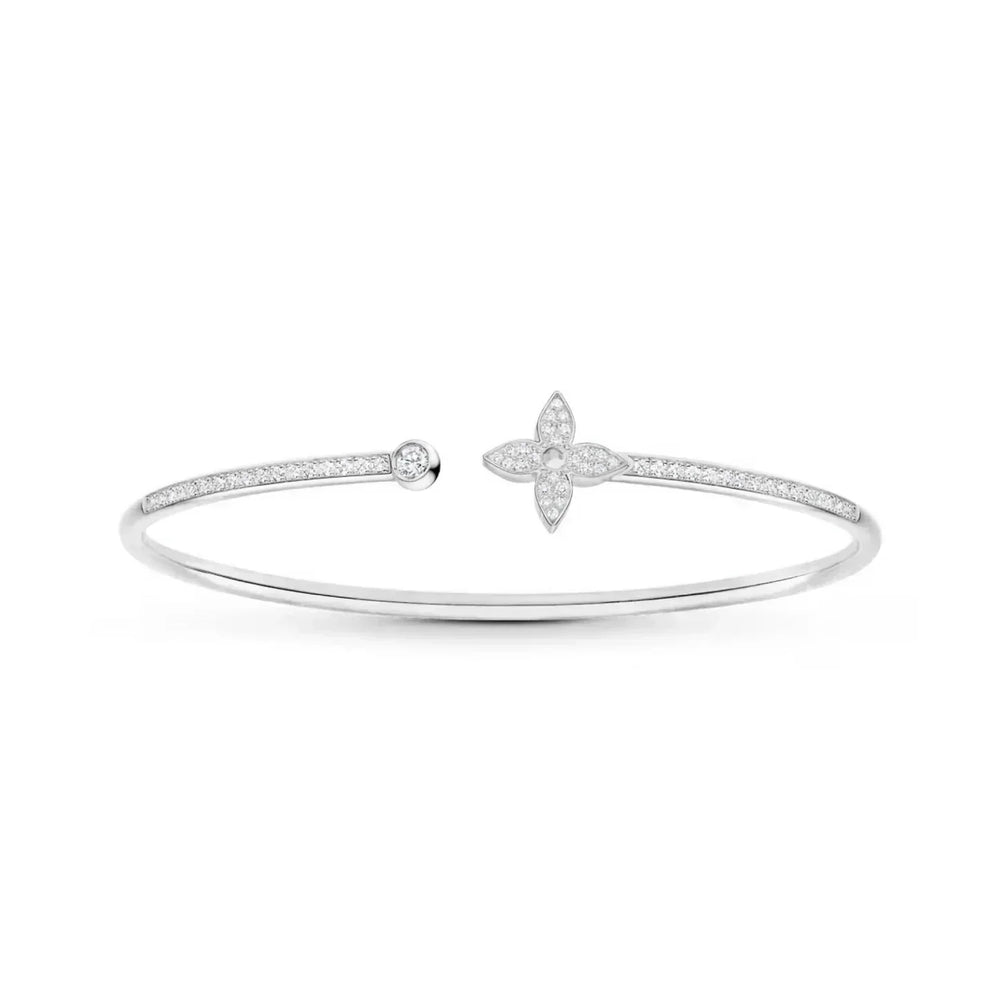 EXCLUSIVE | Silver Star elet
