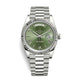 Verdant Men's Watch