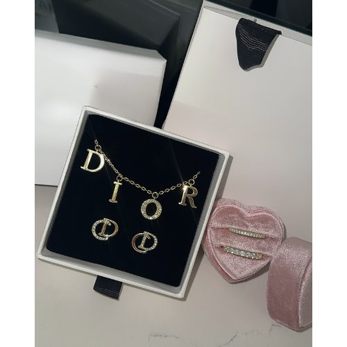 EXCLUSIVE | Beautiful Earrings Silver